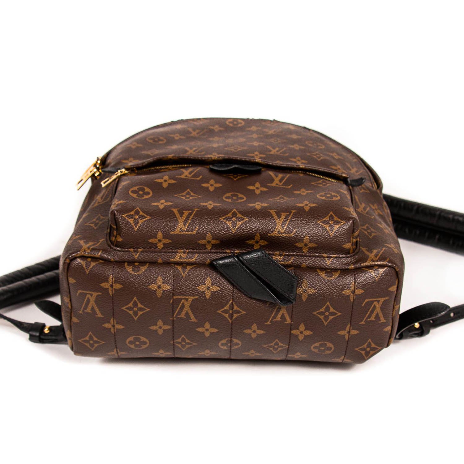 Louis Vuitton Palm Springs Monogram